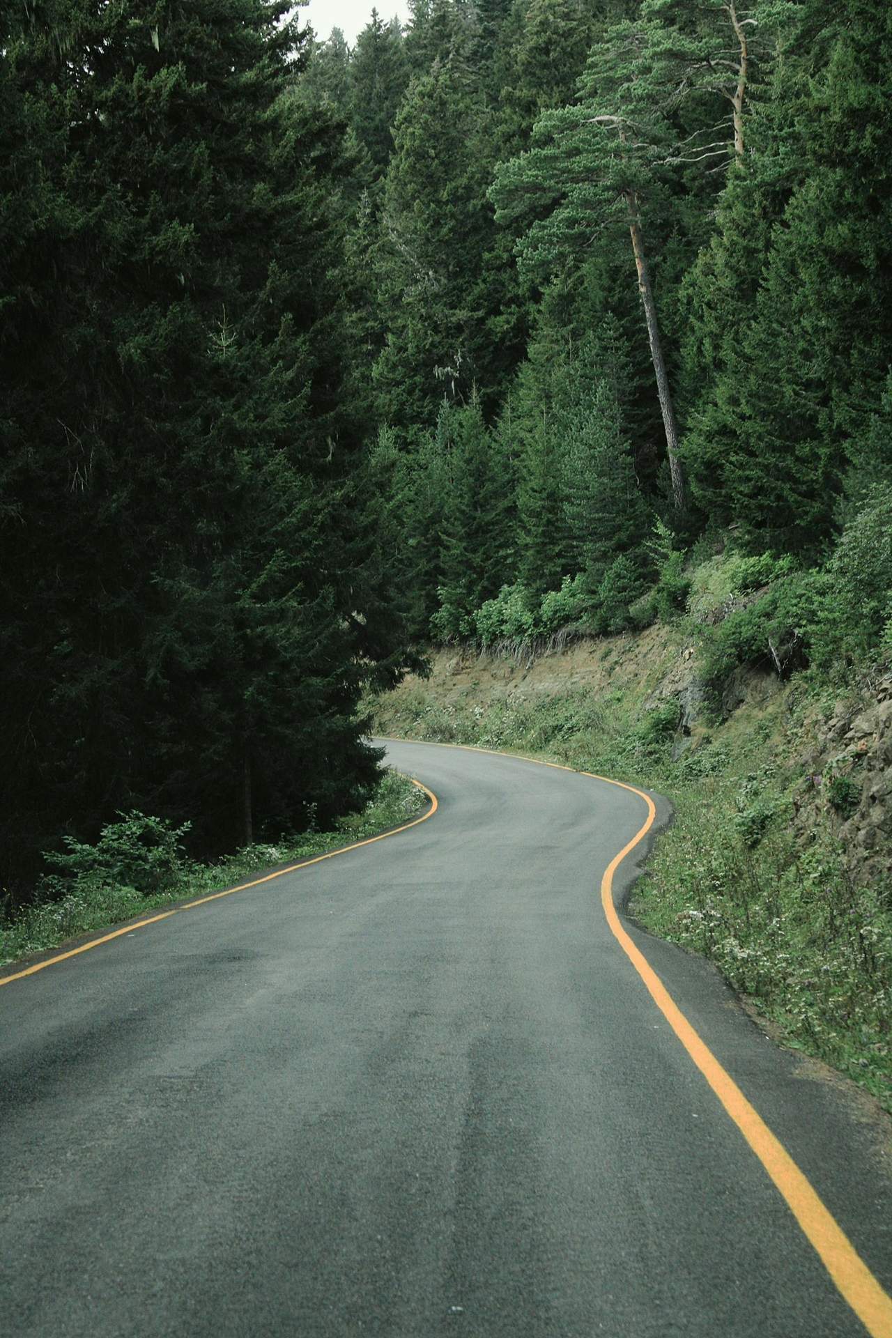 Fleet vehicle tracking